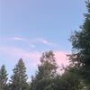 emilyjm265